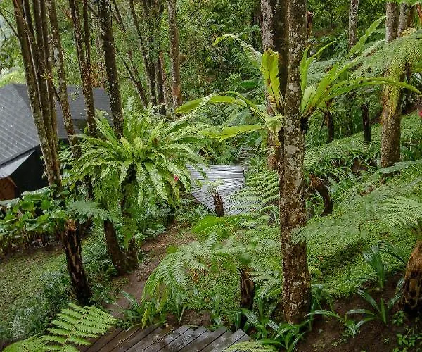 Dreamy Cliffside Bamboo Villa Heated Pool & Stunning View *